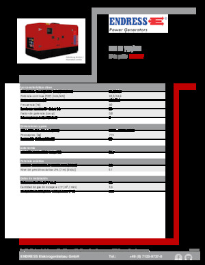Grupos electrógenos diesel Endress ESE 20 YW/MS 
