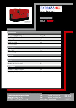 Grupos electrógenos diesel Endress ESE 20 YW/MS 