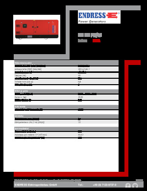 Grupos electrógenos diesel Endress ESE 200 PW/AS 