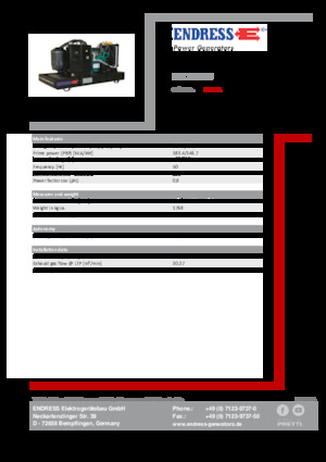 Grupos electrógenos diesel Endress ESE 200 PW 