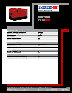 Grupos electrógenos diesel Endress ESE 35 YW/MS
