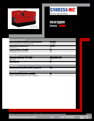 Grupos electrógenos diesel Endress ESE 35 YW/MS