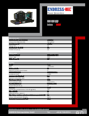 Grupos electrógenos diesel Endress ESE 405 VW 