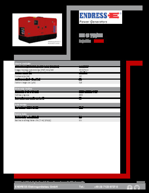 Grupos electrógenos diesel Endress ESE 45 YW/MS