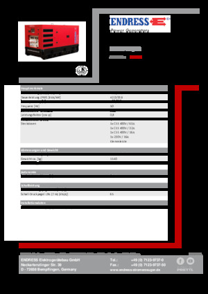 Grupos electrógenos diesel Endress ESE 45 YW/RS