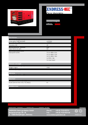 Grupos electrógenos diesel Endress ESE 45 YW/RS