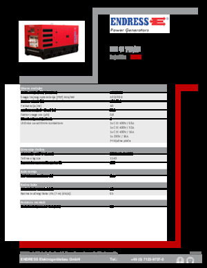Grupos electrógenos diesel Endress ESE 45 YW/RS