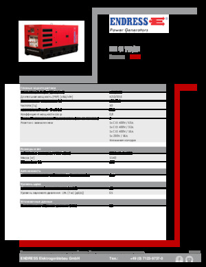 Grupos electrógenos diesel Endress ESE 45 YW/RS