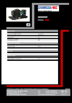 Grupos electrógenos diesel Endress ESE 515 VW 
