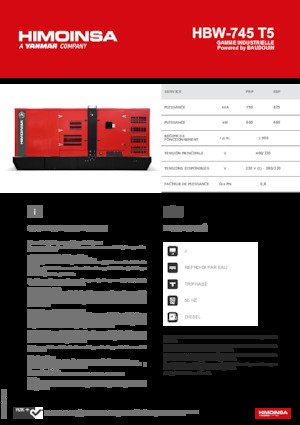 Grupos electrógenos diesel HIMOINSA HBW-745 T5