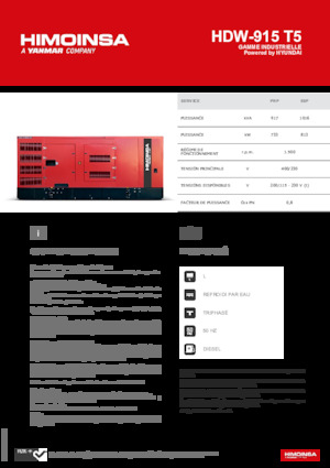 Grupos electrógenos diesel HIMOINSA HDW-915 T5