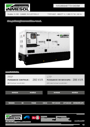 Grupos electrógenos diesel INMESOL IV-285