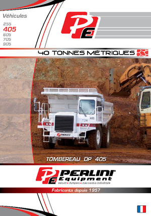 Autovolquetes Perlini DP 405 WD