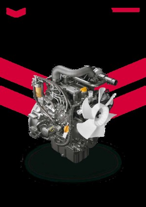 Motores Yanmar 3TNV80FT