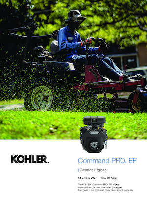 Motores Rehlko ECH749