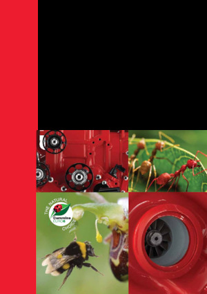 Motores Cummins ISB4.5