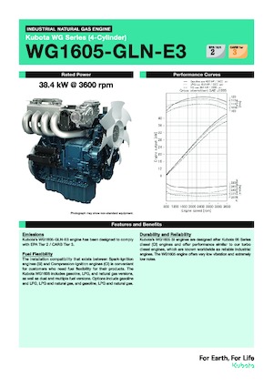 Motores Kubota WG1605-GLN-E3