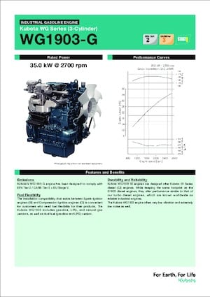 Motores Kubota WG1903-G