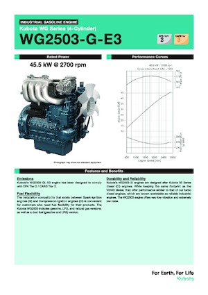Motores Kubota WG2503-G-E3