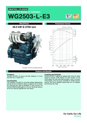 Motores Kubota WG2503-L-E3