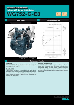 Motores Kubota WG752-G-E3