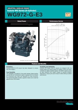 Motores Kubota WG972-G-E3