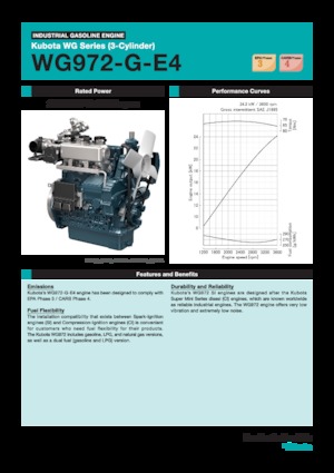 Motores Kubota WG972-G-E4