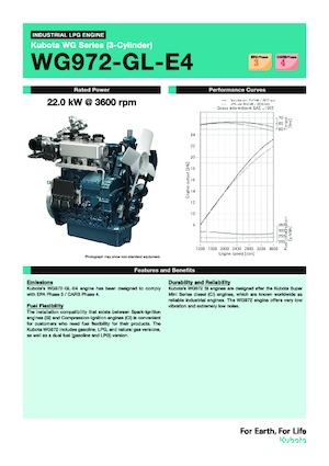 Motores Kubota WG972-GL-E4