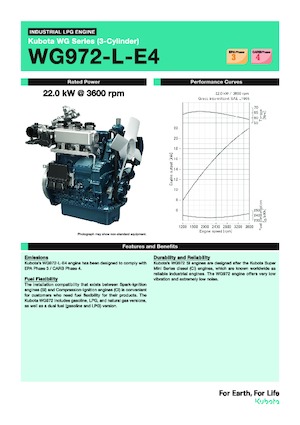 Motores Kubota WG972-L-E4