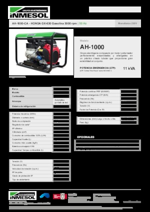 Grupos electrógenos, gasolina INMESOL AH-1000-CA