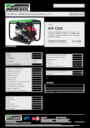 Grupos electrógenos, gasolina INMESOL AH 1250-CA