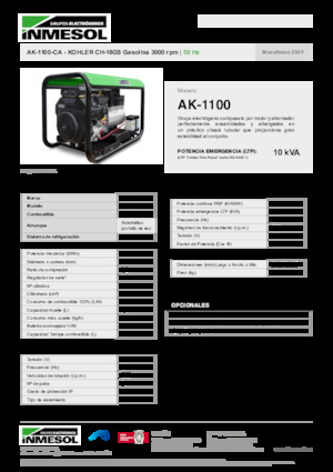 Grupos electrógenos, gasolina INMESOL AK-1100-CA