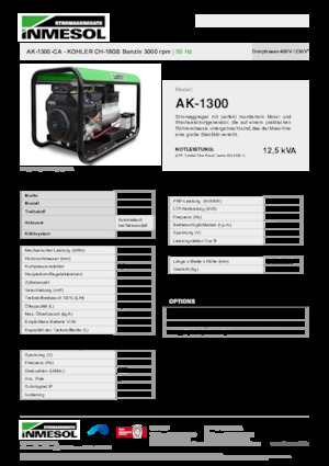 Grupos electrógenos, gasolina INMESOL AK-1300-CA