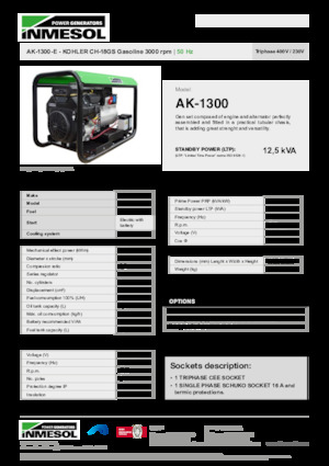 Grupos electrógenos, gasolina INMESOL AK-1300-E