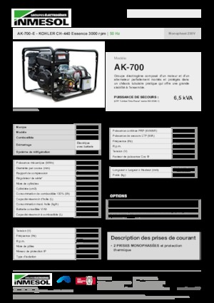 Grupos electrógenos, gasolina INMESOL AK-700-E