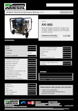 Grupos electrógenos, gasolina INMESOL AK-900-M