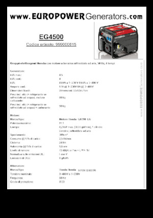 Grupos electrógenos, gasolina Europower EG4500