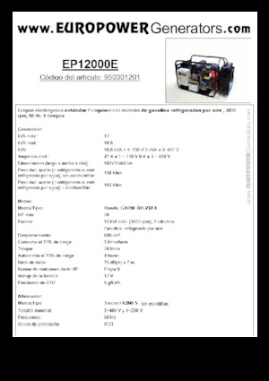 Grupos electrógenos, gasolina Europower EP12000E (S)
