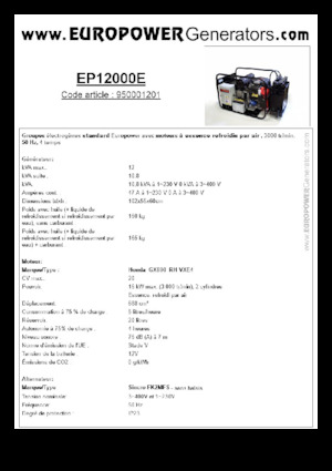 Grupos electrógenos, gasolina Europower EP12000E (S)