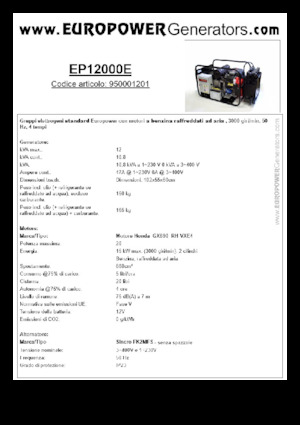 Grupos electrógenos, gasolina Europower EP12000E (S)