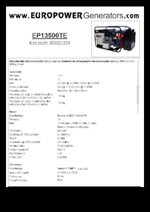 Grupos electrógenos, gasolina Europower EP13500TE (S)