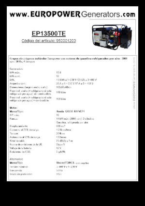 Grupos electrógenos, gasolina Europower EP13500TE (S)