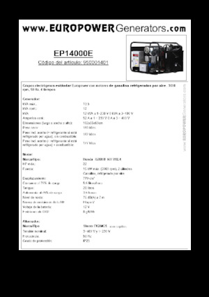 Grupos electrógenos, gasolina Europower EP14000E (S)