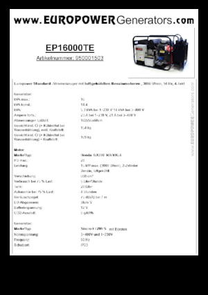Grupos electrógenos, gasolina Europower EP16000TE (S)