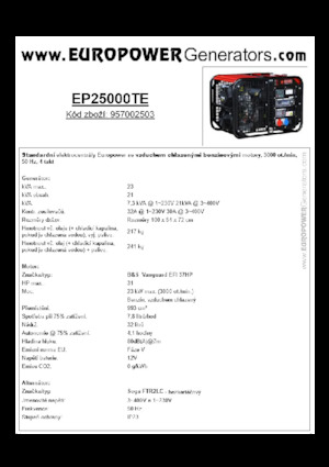 Grupos electrógenos, gasolina Europower EP25000TE (S)