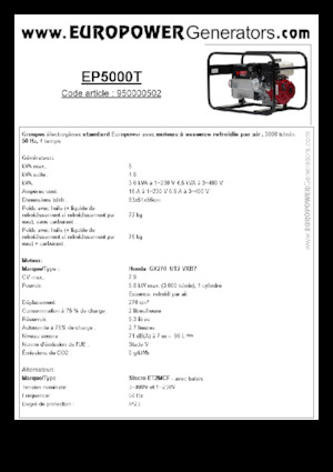 Grupos electrógenos, gasolina Europower EP5000T (S)