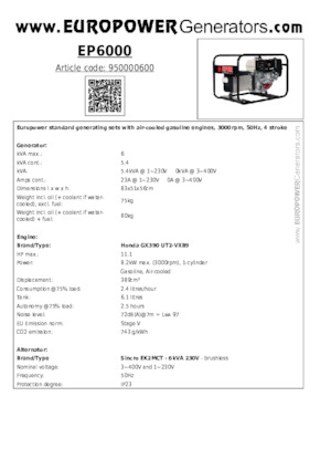 Grupos electrógenos, gasolina Europower EP6000 (S)