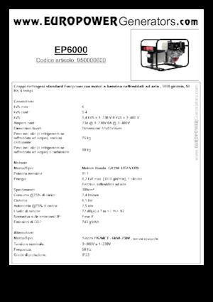 Grupos electrógenos, gasolina Europower EP6000 (S)