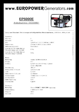 Grupos electrógenos, gasolina Europower EP6000E (S)