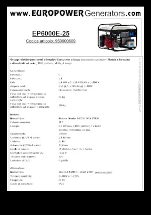 Grupos electrógenos, gasolina Europower EP6000E-25 (S)